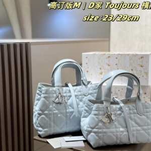 Dior Toujours  Bags