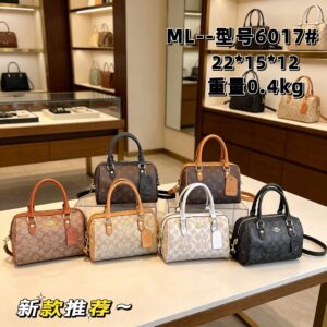 LV / Coach #ML6017