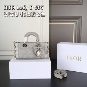 Dior Lady D-Lite Bag - 7 Colors