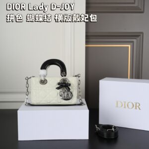 Dior Lady D-Joy Colorblock Bag