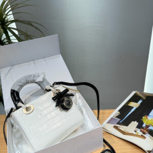 Dior Lady Bag