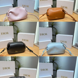 Dior Bag - 6 Colors