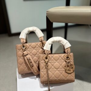 Dior Handbag - 4 Colors