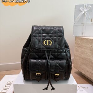 Dior Backpack - Large/Small