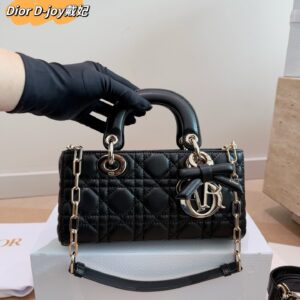 Dior Lady Handbag - 6 Colors