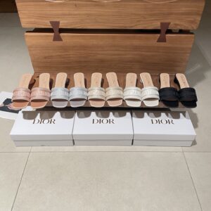 Dior Slides - 5 Colors