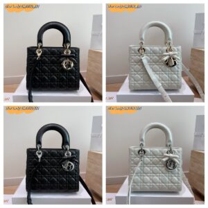 Dior Handbag - 2 Colors
