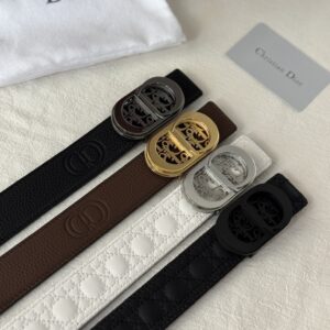 Dior Belt - 4 Colors
