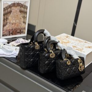 Dior Handbag - 4 Colors