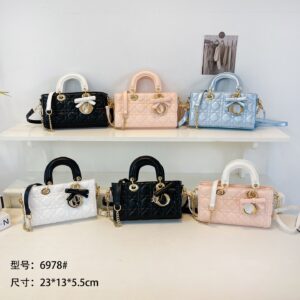 Dior Handbag - 6 Colors