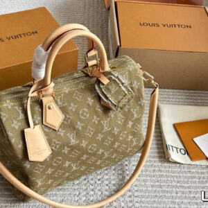 Louis Vuitton Handbag