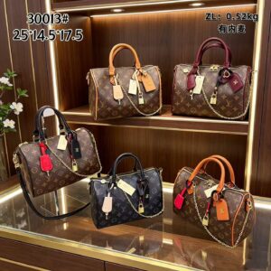 Louis Vuitton Handbag - 6 Colors