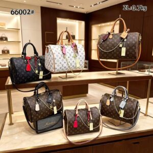 Louis Vuitton Handbag - 6 Colors