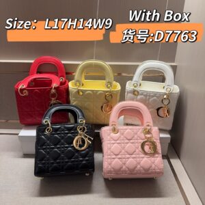 Dior Handbag - 5 Colors