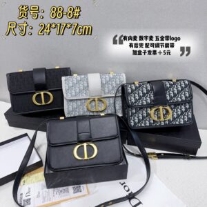 Dior Crossbody Bag - 4 Colors