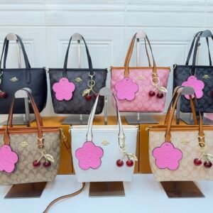 Coach Bag - 7 Colors #104933