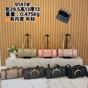Coach Bag - 7 Colors #104938