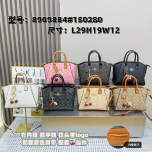 Coach Bag - 7 Colors #104943