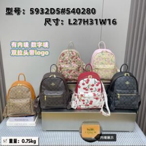 Coach Bag - 6 Colors #104947