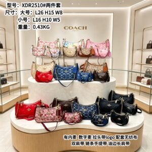 Coach Bag - 12 Colors #104963