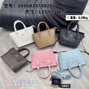 Coach Bag - 6 Colors #104971