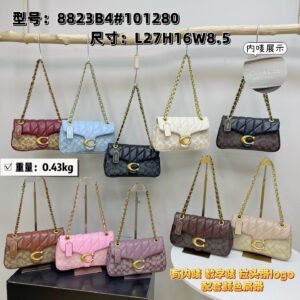 Coach Bag - 10 Colors #105005
