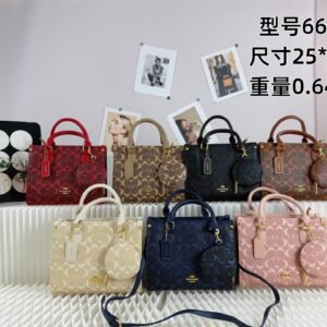 Coach Bag - 7 Colors #109537