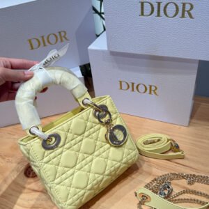 Dior Bag - 1 Colors #110136